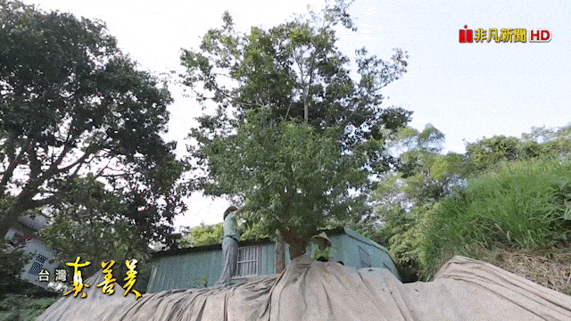 1759983953479676.gif 1759983953479676.gif