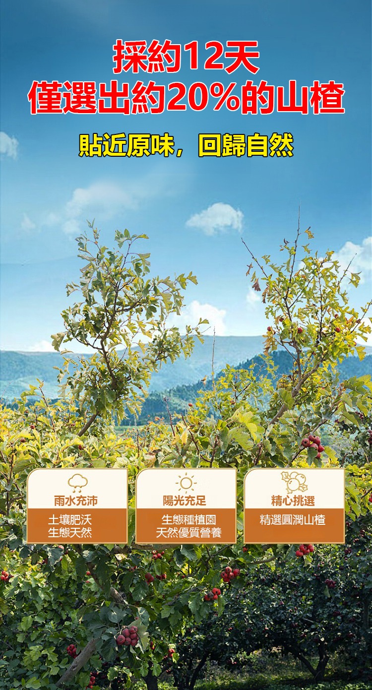 1760102043768458.jpg imgi_24_1738812563634118.jpg