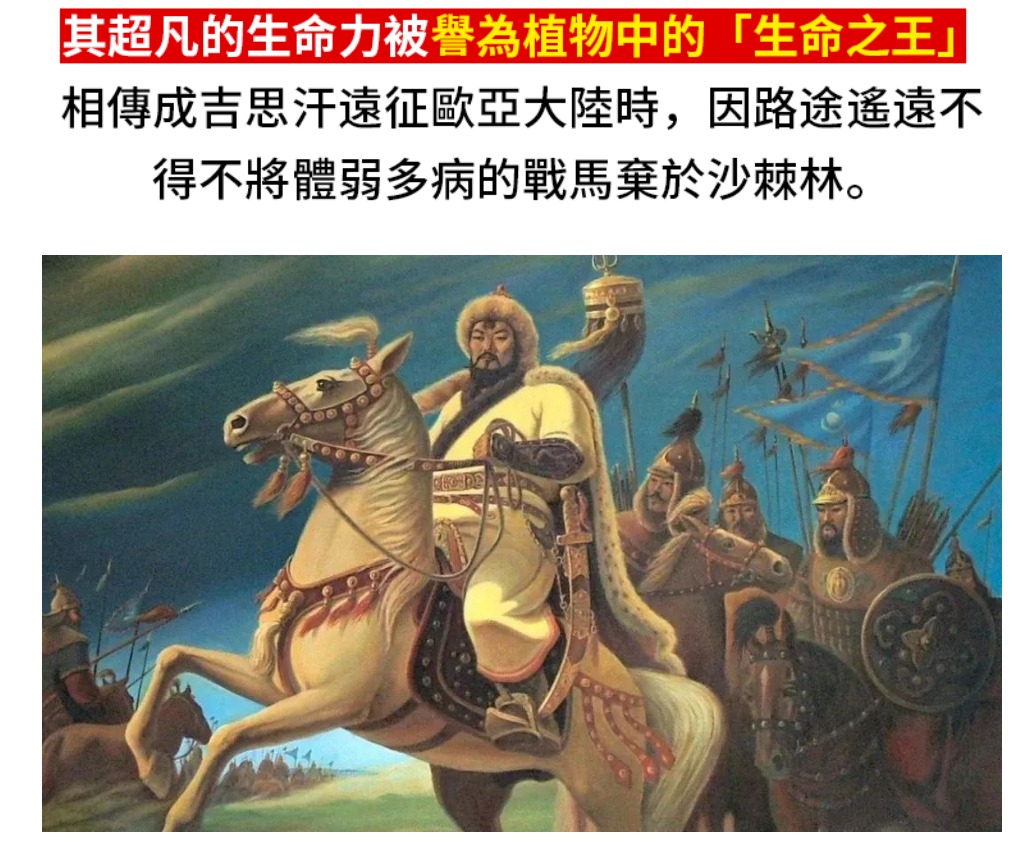 1760407550848315.jpg 1760407550848315.jpg