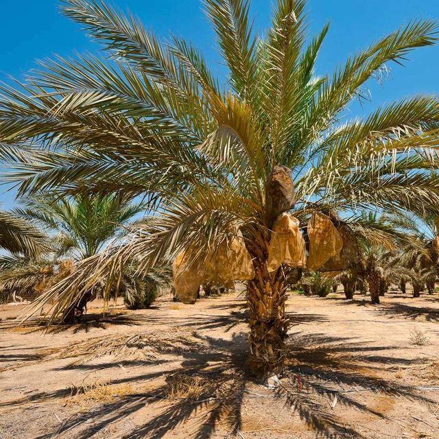 1760493755300945.jpg 1760493755300945.jpg