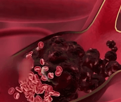 1760493855419167.gif 1760493855419167.gif