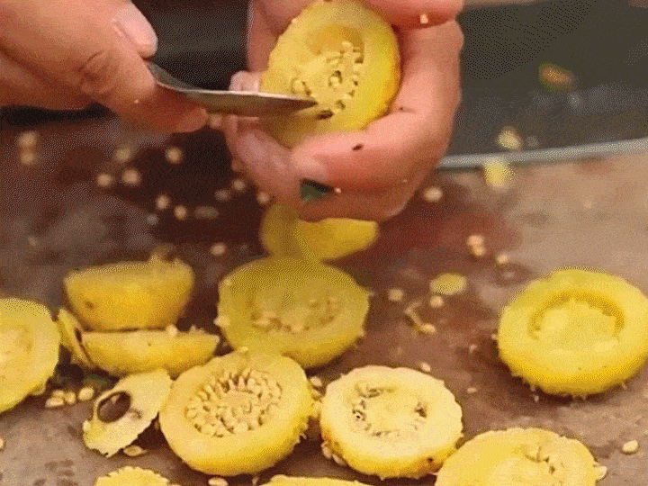 1760511947276961.gif 1760511947276961.gif